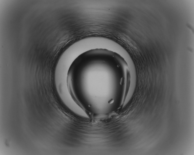 X0000090960748200708301202