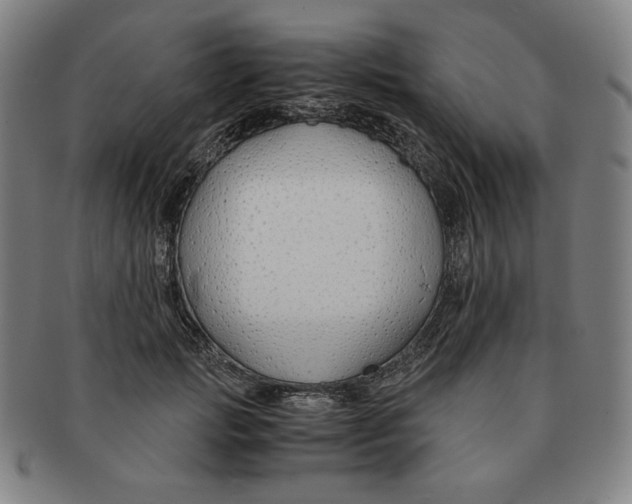 X0000090960749200708301202