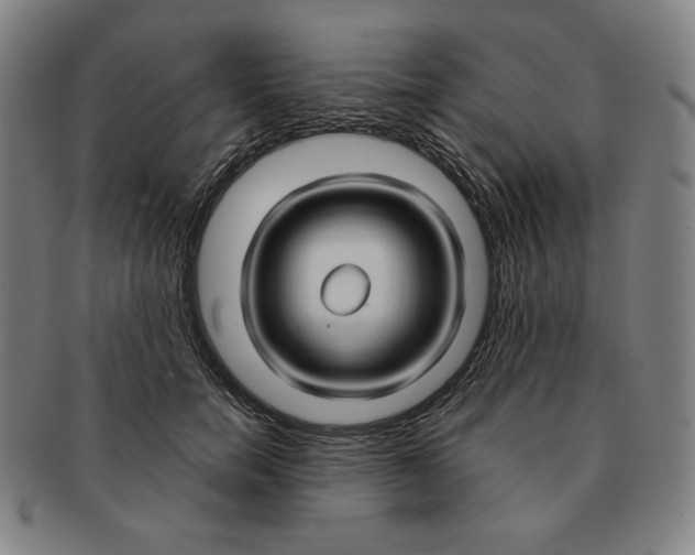 X0000090960750200708301202