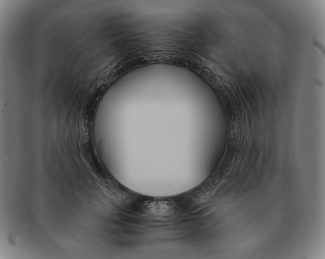 X0000090960751200708301202