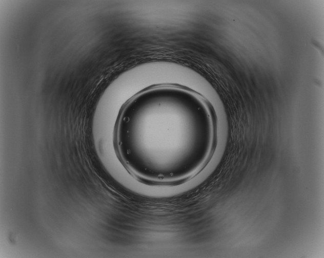 X0000090960752200708301202