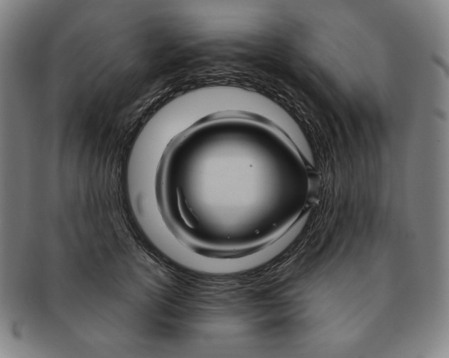 X0000090960754200708301202