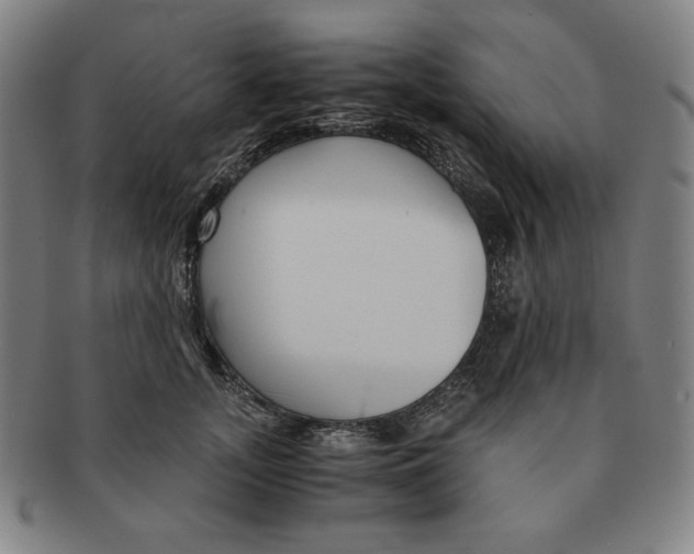 X0000090960755200708301202