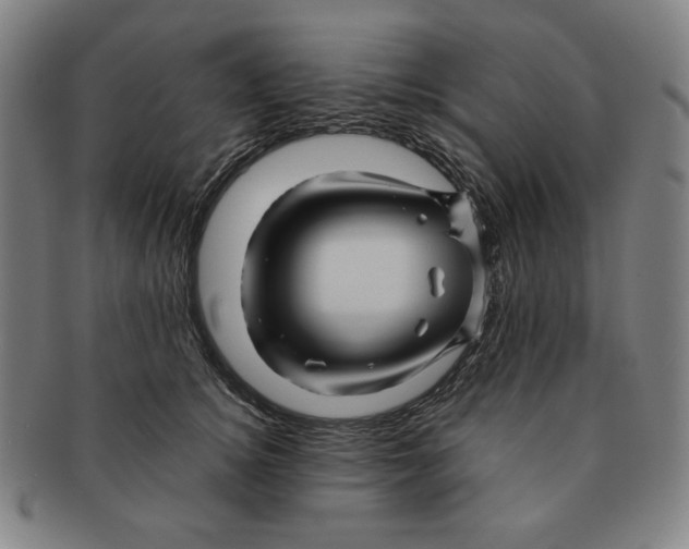 X0000090960756200708301202