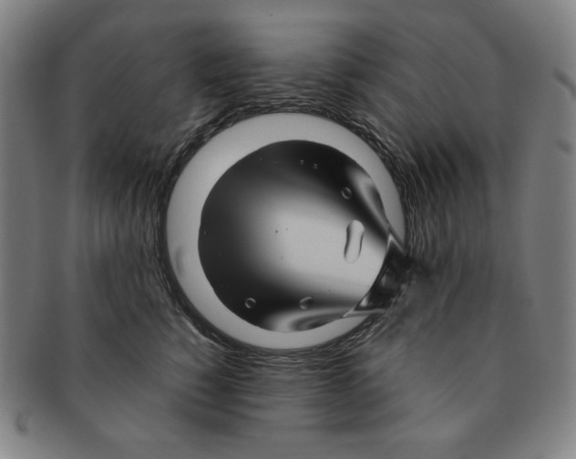 X0000090960760200708301202