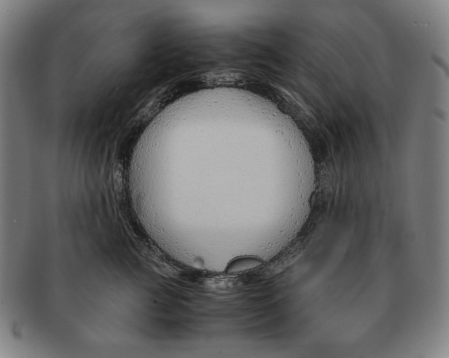 X0000090960761200708301202