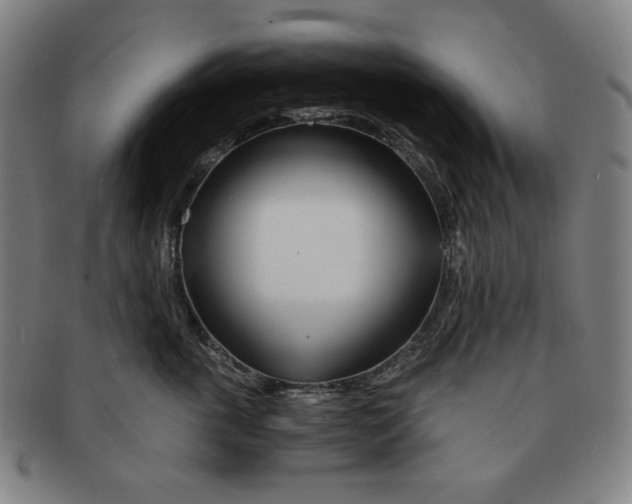 X0000090960763200708301203