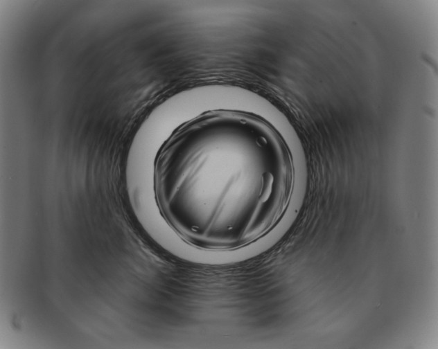 X0000090960764200708301203