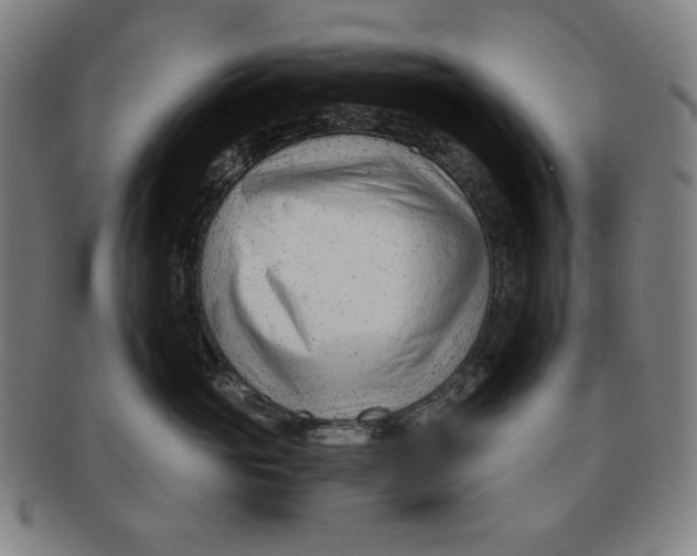 X0000090960765200708301203