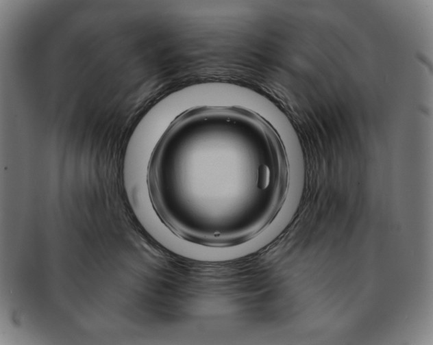 X0000090960766200708301203