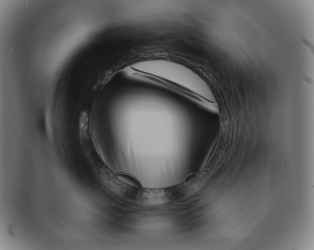 X0000090960767200708301203