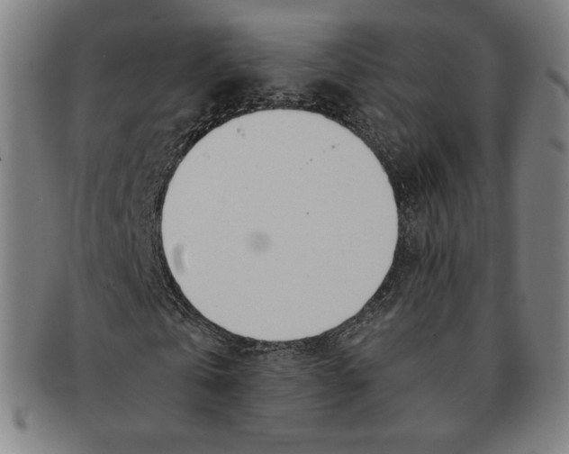 X0000090960769200708301202