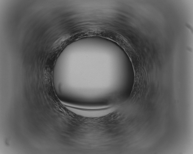 X0000090960773200708301202