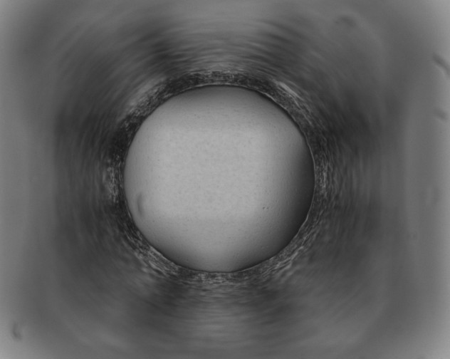 X0000090960774200708301202