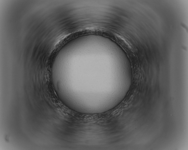 X0000090960776200708301202