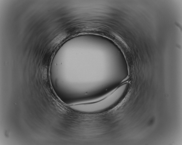 X0000090960777200708301202