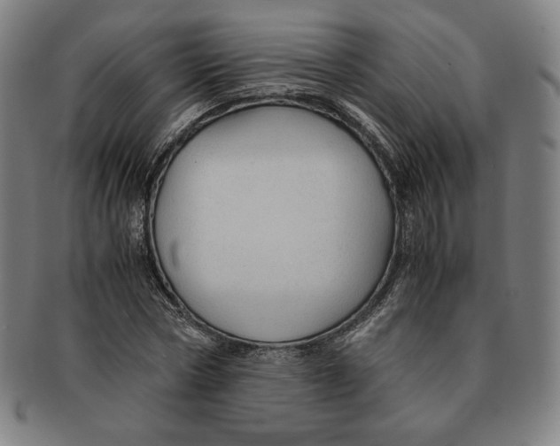 X0000090960778200708301202