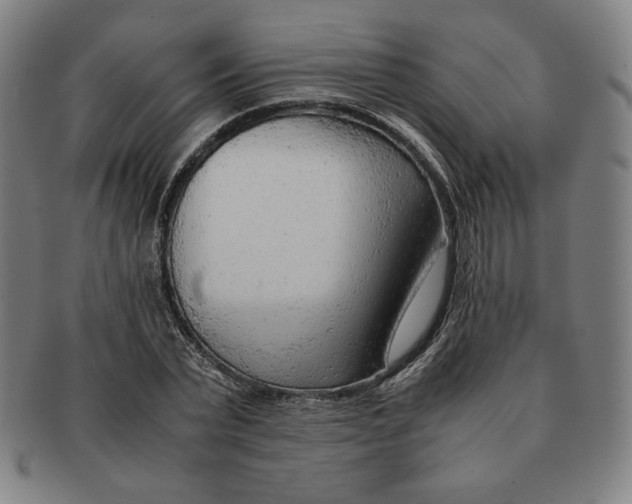 X0000090960783200708301202