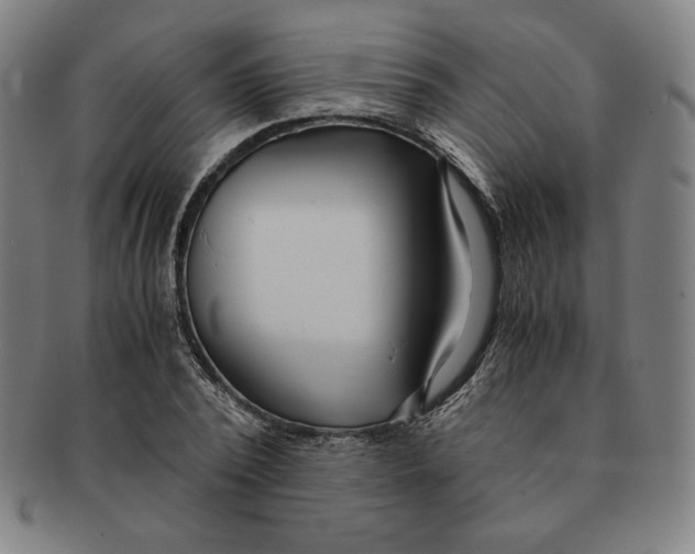 X0000090960784200708301202