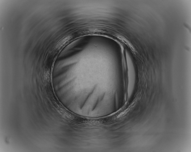 X0000090960785200708301202