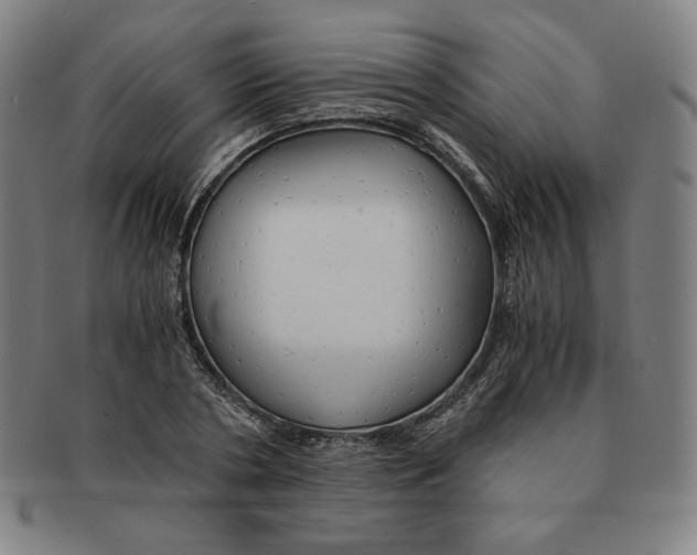 X0000090960786200708301202