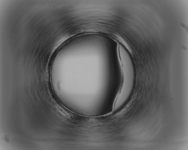 X0000090960787200708301202