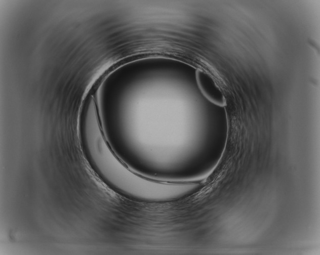 X0000090960788200708301202