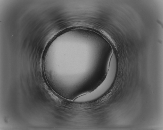 X0000090960791200708301202