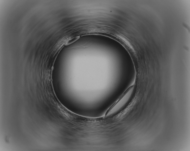 X0000090960793200708301202