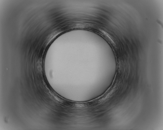 X0000090960794200708301202