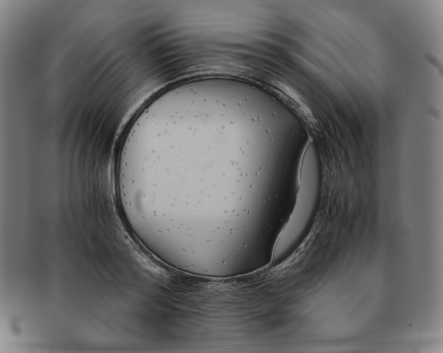 X0000090960796200708301202