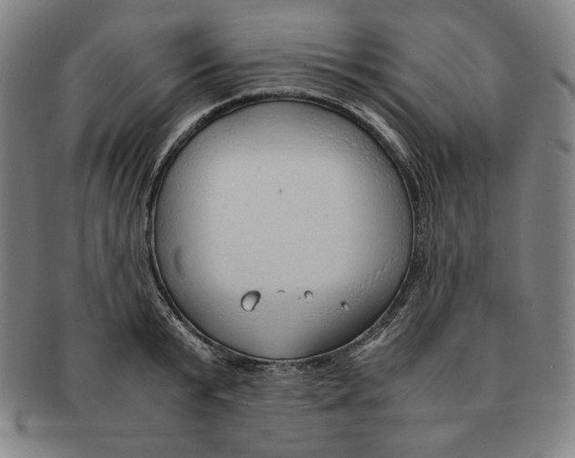 X0000090960799200708301202