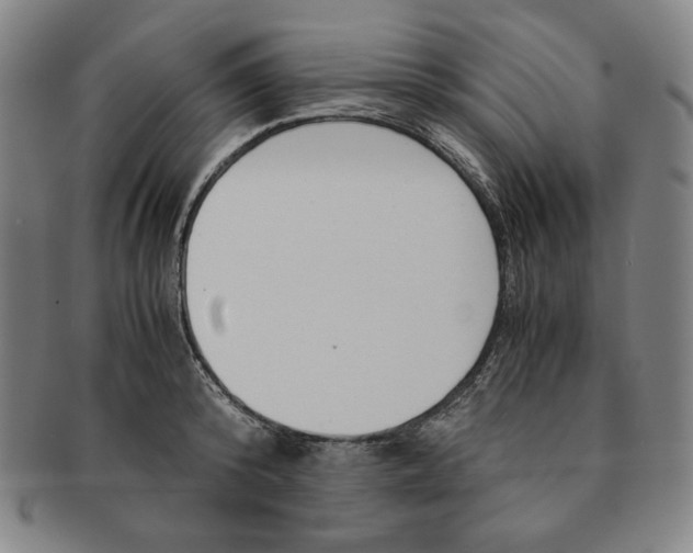 X0000090960800200708301202