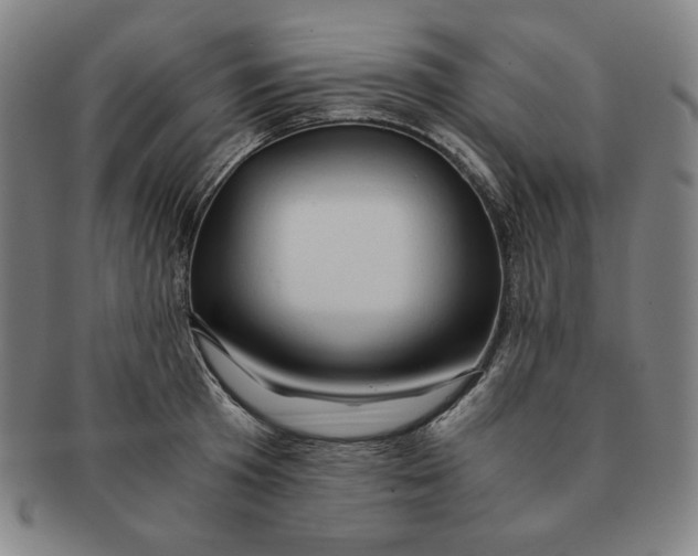 X0000090960801200708301201