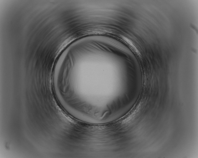 X0000090960802200708301201