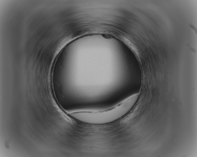 X0000090960803200708301201