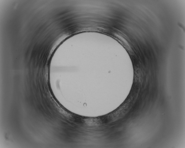 X0000090960804200708301201