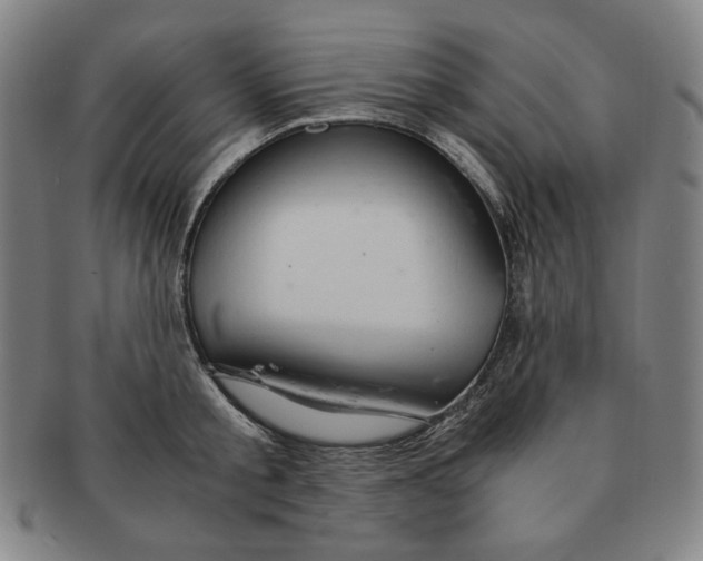 X0000090960805200708301201