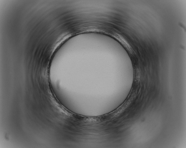 X0000090960806200708301201