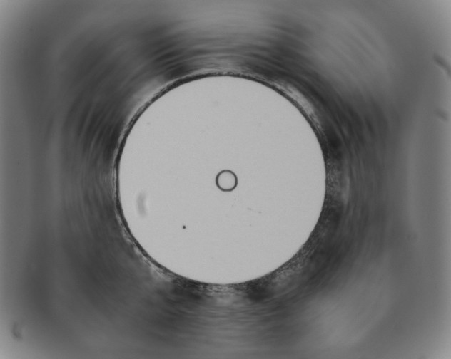 X0000090960807200708301201