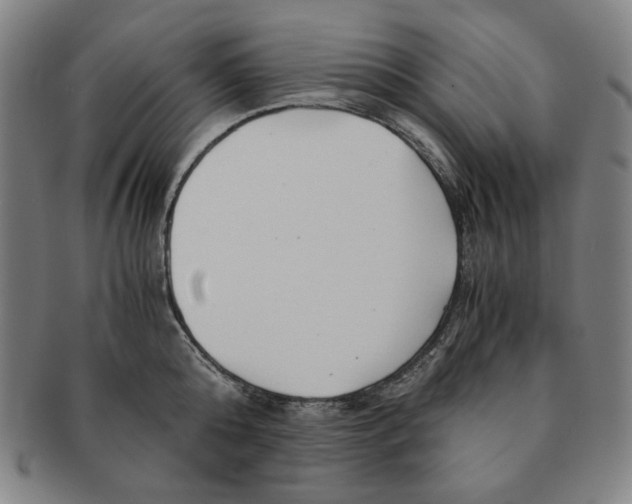 X0000090960808200708301201