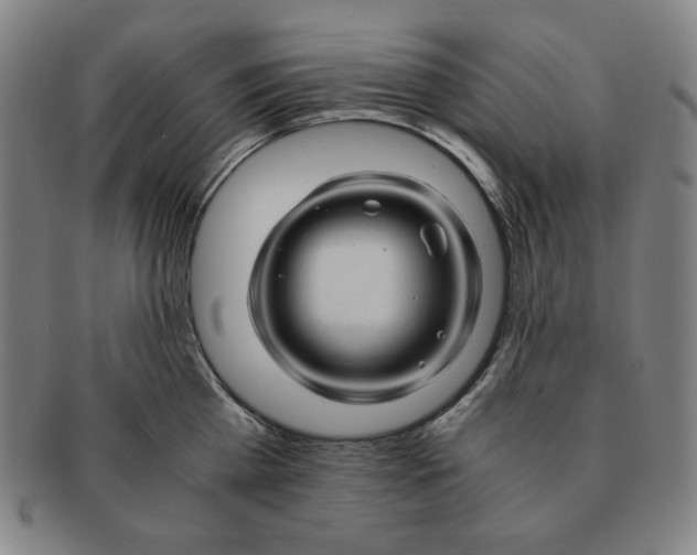 X0000090960809200708301201