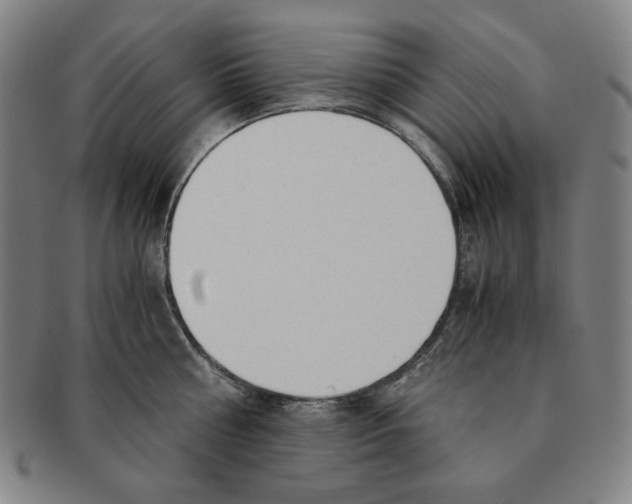 X0000090960810200708301201