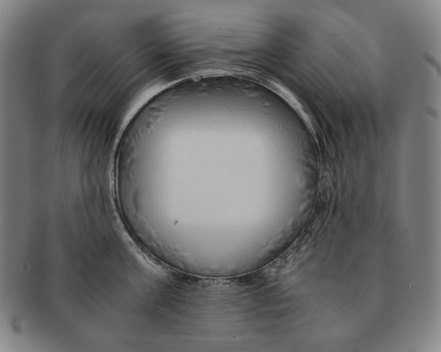 X0000090960811200708301201