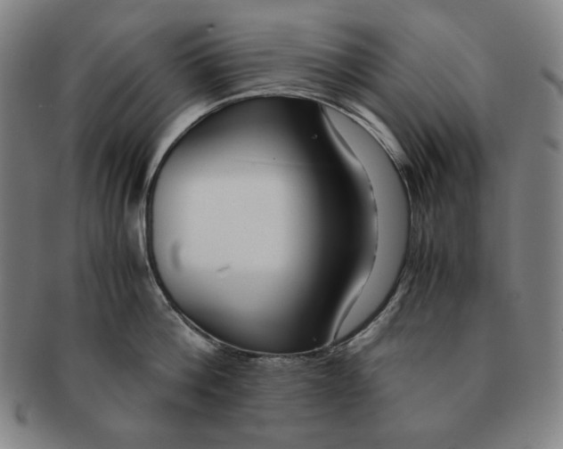 X0000090960812200708301201