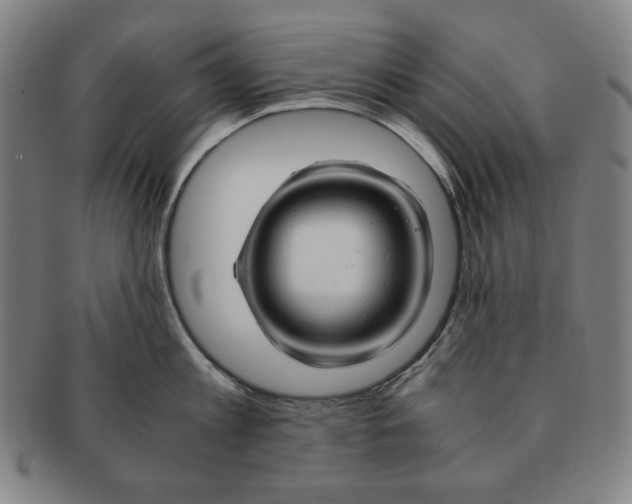 X0000090960813200708301201