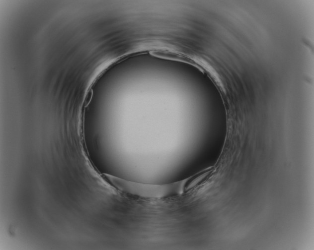 X0000090960815200708301201