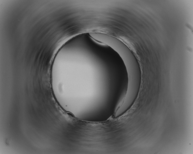 X0000090960816200708301201