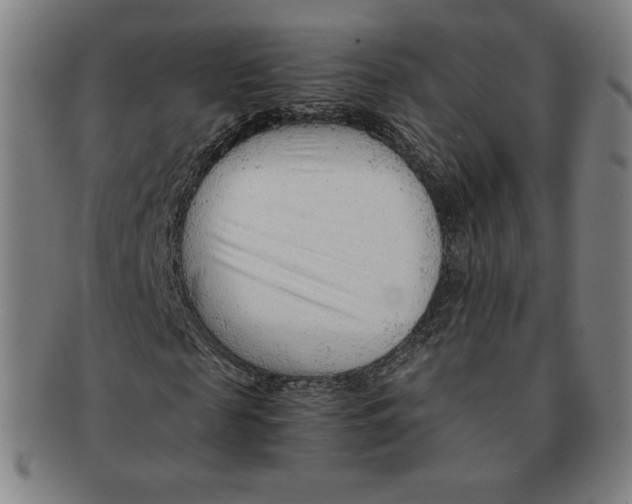 X0000090960817200708301200