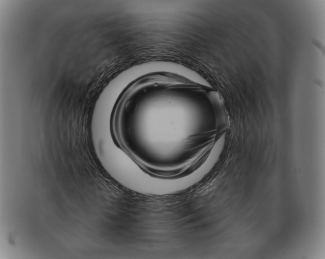 X0000090960818200708301200